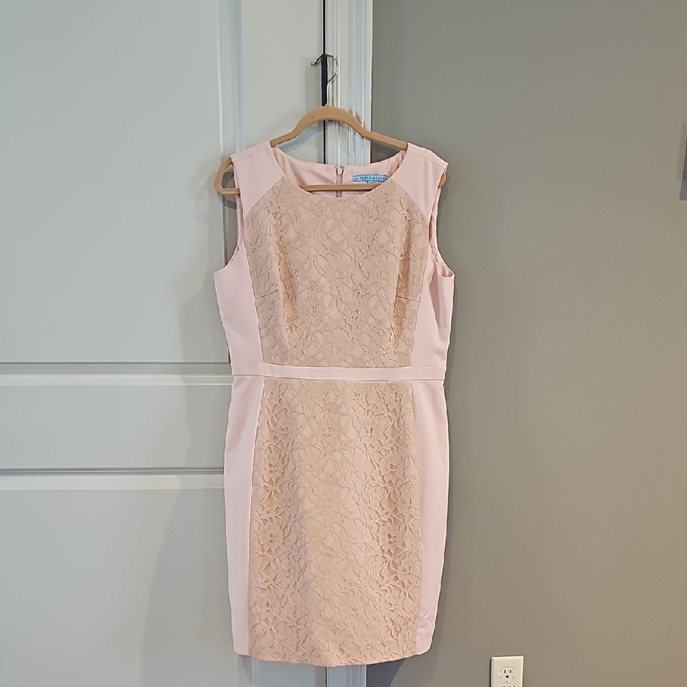 ANTONIO MELANI Blush Lace-Front Sheath Dress/ Sheer Cardigan